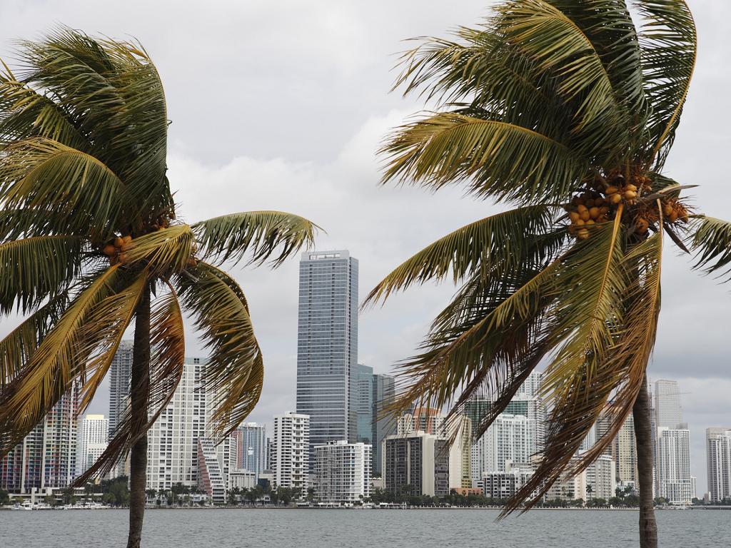 Ein Sturm in Miami